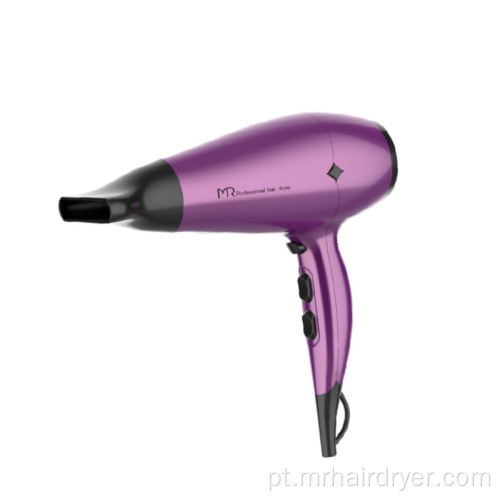 Secador de cabelo montado home 2100W